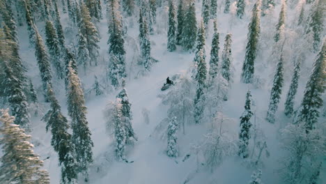 Two-Snowmobiles-Riding-Through-The-Forest,-Covered-In-Deep-Snow-During-Winter-In-Muonio,-Finland