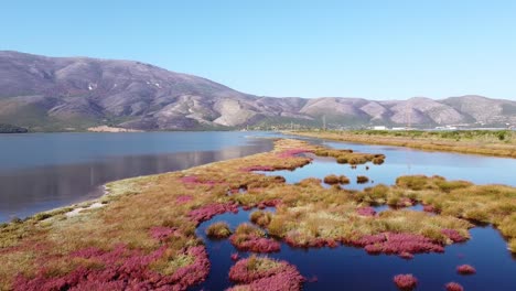Pasha-Liman-Lagoon-in-Orikum,-Albania---Aerial-of-Pink-Coastal-Wetlands