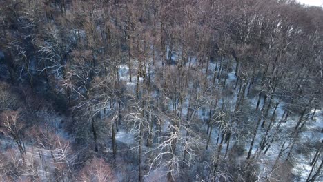 Aerial-view-of-winter-scenery-of-leafless-forest-and-snowy-rural-landscape