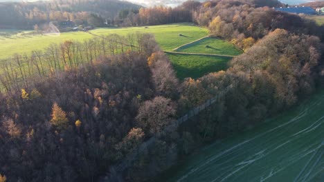 Aerial-natural-landscape-of-rural-area-warm-colorful-forest-and-green-farmland