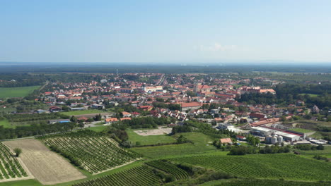 Picturesque-Valtice-town-in-Moravia-wine-region-with-vineyards,-drone