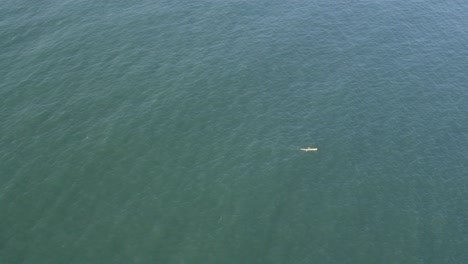 Aerial:-Sea-kayaker-paddles-hard-L-to-R,-isolated-on-vast-green-ocean