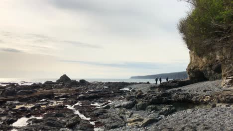 Group-of-people-trekking-the-Juan-de-Luca-Marine-Trail-in-rugged-shore-near-the-sea-on-a-cloudy-day,-Sombrio-Beach,-British-Columbia,-Canada