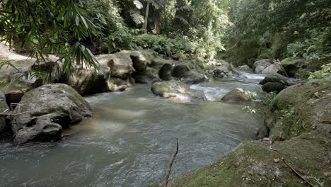 Shallow-rover-flowing-through-a-deep-jungle-valley