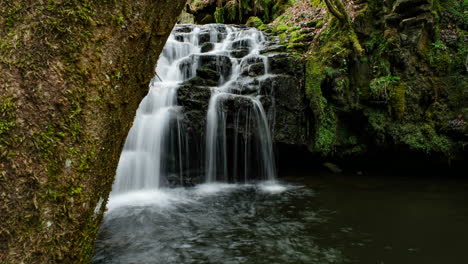 Waterfall-revealed-behind-a-large-tree-in-forest-in-the-UK
