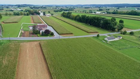 Eine-Luftaufnahme-Von-Maisfeldern-Und-Fruchtbarem-Ackerland-Und-Bauernhöfen-An-Einem-Sonnigen-Sommertag