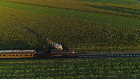 An-Aerial-View-of-A-Steam-Passenger-Train-Approaching-Passing-Thru-a-Corn-Maze-and-Corn-Fields-During-the-Golden-Hour-on-a-Summer-Day
