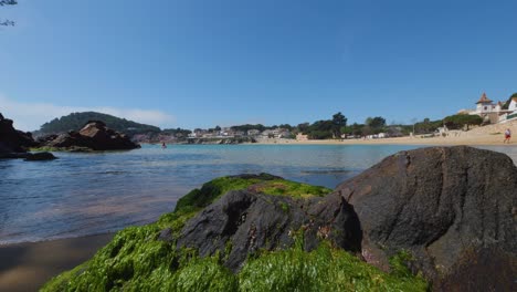 La-Fosca-beach-in-Girona-Mediterranean-sea-without-people-paradisiacal-blue-turquoise-blue-sky-rock-in-the-foreground-Green-algae-on-the-rock