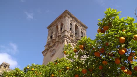 Hermosa-Torre-Del-Reloj-Detrás-De-Naranjos,-Arquitectura-Clásica-Europea
