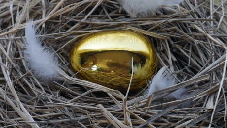 Golden-goose-egg-in-bird's-nest-static