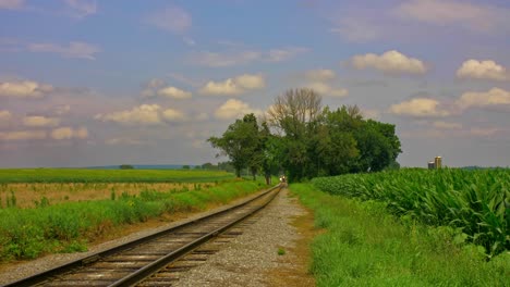 A-View-of-a-Steam-Passenger-Train-Approaching-Thru-the-Trees-by-Corn-Fields-on-a-Partially-Cloudy-Summer-Day