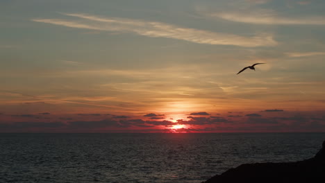 Peaceful-Meditation-View-of-Silhouette-Of-One-Seagull-Flying-Slow-Over-The-Sea-At-Sunset