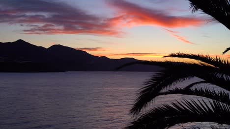 Palmensilhouette-Bei-Sonnenaufgang-Am-Frühen-Morgen-Am-Ozean