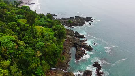 Luftaufnahme-Von-Blühenden-Natürlichen-Dschungelbäumen-In-Der-Nähe-Der-Felsigen-Pazifikküste-In-Südamerika-Mit-Sauberem-Blauem-Ozeanwasser