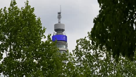 A-look-up-towards-BT-Tower-from-Regents-Park,-London,-United-Kingdom