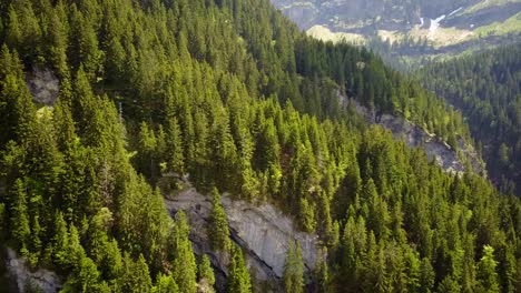 Drone-Volando-Lejos-De-Una-Montaña-Cubierta-De-Abetos-En-Los-Alpes-Suizos