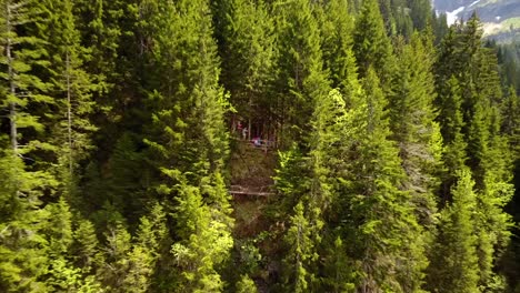 Drone-zoom-out-of-a-family-hiking-in-a-green-forest,-Swiss-Alps
