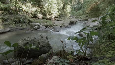 Río-Que-Fluye-Sobre-Rocas-Poco-Profundas-En-Un-Valle-De-Selva-Verde