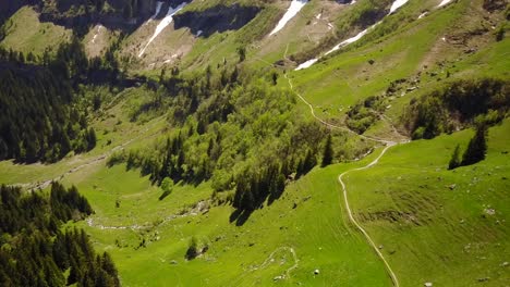 Drone-view-of-a-fir-forest-in-the-Swiss-Alps:-some-snow-in-the-fields