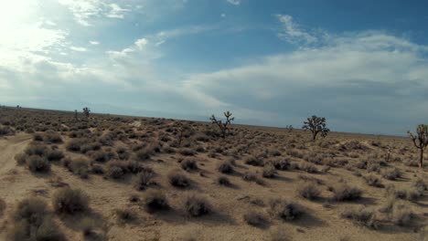 Fliegen-Sie-Rückwärts-Durch-Die-Mojave-Wüstenlandschaft-Zwischen-Den-Zweigen-Der-Joshua-Bäume---Einzigartige-Luftperspektive