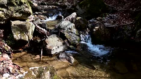 footage-of-small-stream-in-the-wilderness