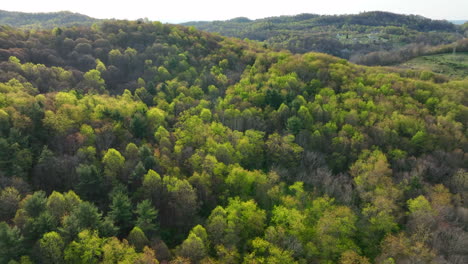 Grüne-Sanfte-Hügel-Und-Berge-Von-Appalachia