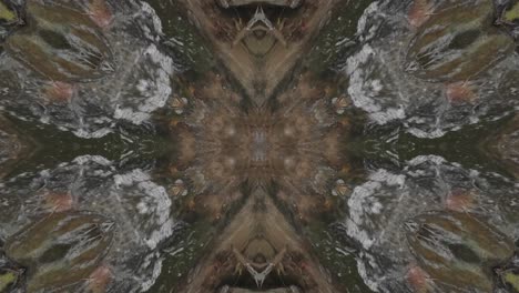 Kaleidoscope-from-Nature-Shots,-Wissahickon-Creek
