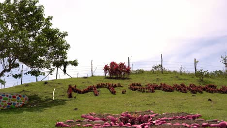 Beautiful-Garden-Landscape-In-Mount-Caningag,-Pintuyan,-Southern-Leyte,-Philippines