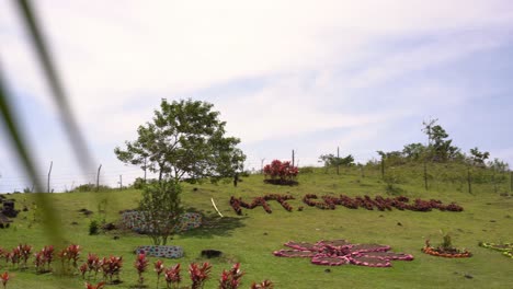 Palmenblätter-Enthüllten-Den-Mount-Caningag-Park-In-Pintuyan,-South-Leyte,-Philippinen