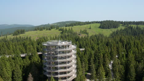 Pohorje-Treetop-Walk,-Rogla-Eslovenia---Retroceso-Aéreo