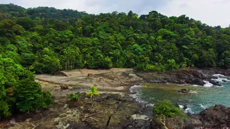 Rocky-Coastline-And-Lush-Green-Tropical-Jungle-Trees-In-Colombia-South-America