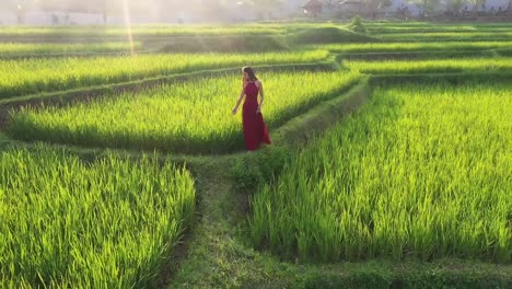 Eine-Frau-In-Einem-Roten-Kleid,-Die-In-Reisterrassen-Spazieren-Geht-Und-Die-Exotische-Kulturlandschaft-Durch-Bali-Indonesien-Erkundet