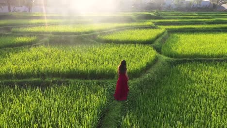 Eine-Frau-In-Einem-Roten-Kleid,-Die-Auf-Reisterrassen-Spazieren-Geht-Und-Die-Kulturlandschaft-Im-Exotischen-Urlaub-Durch-Bali-Indonesien-Erkundet