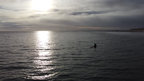 Surfista-Disfrutando-Del-Mar-Embravecido-De-La-Costa-De-Cornualles-En-La-Bahía-De-Harlyn
