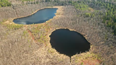AERIAL:-Two-Lakes-in-Forest-on-Sunny-Day-in-Between-Trees