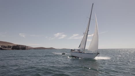 Velero-Blanco-Navegando-En-El-Océano