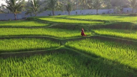 Eine-Frau-In-Einem-Roten-Kleid,-Die-In-Reisterrassen-Spazieren-Geht-Und-Die-Kulturlandschaft-Im-Exotischen-Urlaub-Durch-Bali-Indonesien-Erkundet