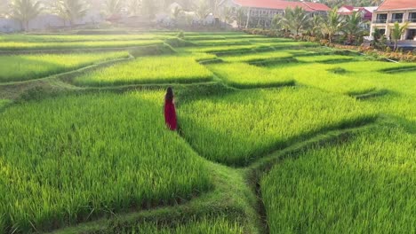 Eine-Frau-In-Einem-Roten-Kleid,-Die-In-Reisterrassen-Spazieren-Geht-Und-Die-Kulturlandschaft-Im-Exotischen-Urlaub-Durch-Bali-Indonesien-Erkundet