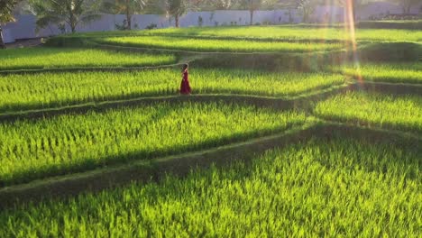 Una-Mujer-Con-Un-Vestido-Rojo-Caminando-En-Una-Terraza-De-Arroz-Explorando-El-Exótico-Paisaje-Cultural-A-Través-De-Bali,-Indonesia