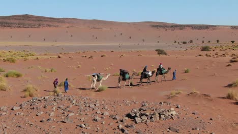 Caravan-of-Moroccan-bedouins-and-camels-or-dromedaries-in-Morocco-desert