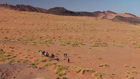 Vista-De-Drones-Sobre-La-Caravana-De-Camellos-A-Través-Del-Desierto-Marroquí