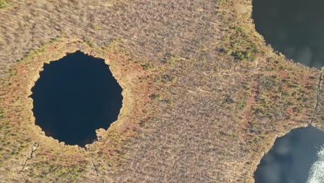AERIAL:-Strange-Looking-Lakes-That-Resembles-Alien-Face