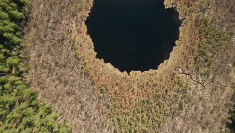 AERIAL:-Top-View-of-Deep-Blue-Lake-in-Forest