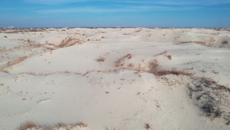 Luftaufnahme,-Wüstenlandschaft,-Dünen-Und-Büsche-Unter-Blauem-Himmel-An-Heißen-Sonnigen-Tagen