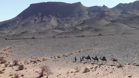 Caravana-De-Beduinos-Y-Camellos-En-El-Desierto-Marroquí