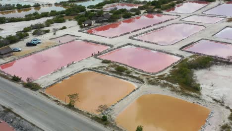AERIAL-view,-Flying-over-the-breathtaking-pink-and-yellow-colored-ponds-of-salt-fields
