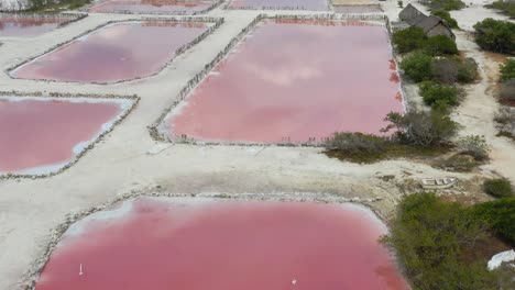 AERIAL-view,-Flying-over-the-breathtaking-pink-colored-ponds-of-salt-fields