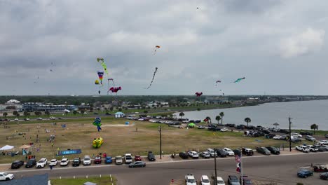 Sky-full-of-amazing-kites