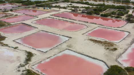 AERIAL-view,-Flying-over-the-breathtaking-pink-colored-lagoons-of-salt-fields