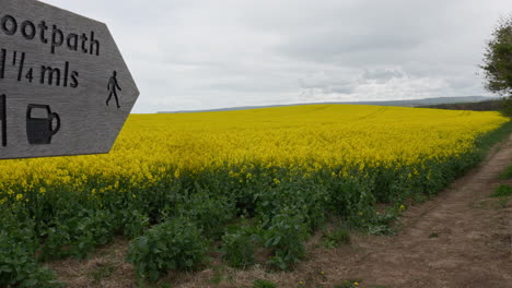 Coastal-footpath-showing-wooden-sign-post-along-side-a-rapeseed-field-on-a-overcast-day,-Cleveland-Way-Sandsend-Yorkshire-UK